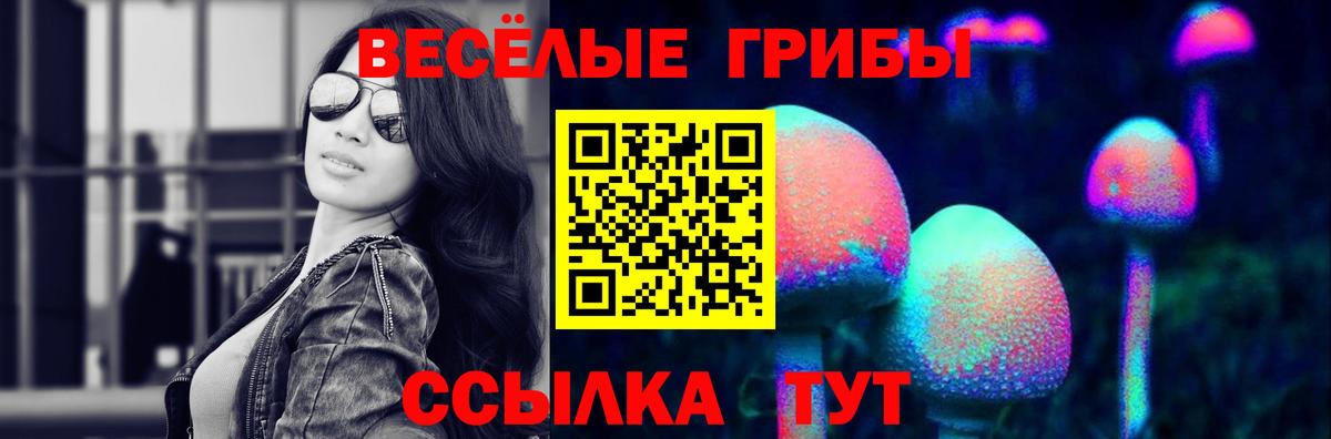 где можно купить   Вход с VPN  Белореченск  Галлюциногенные грибы прущие грибы 
